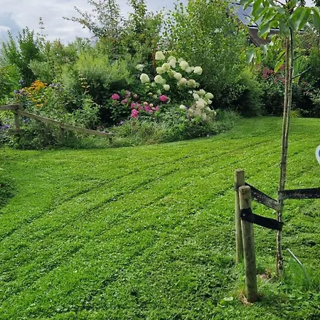 Magnificent In Holland 4a & 2c Tatil Evi *