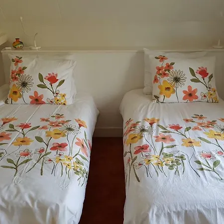 Magnificent In Holland 4a & 2c 別荘 *