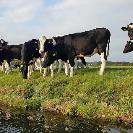 Magnificent In Holland 4a & 2c 別荘