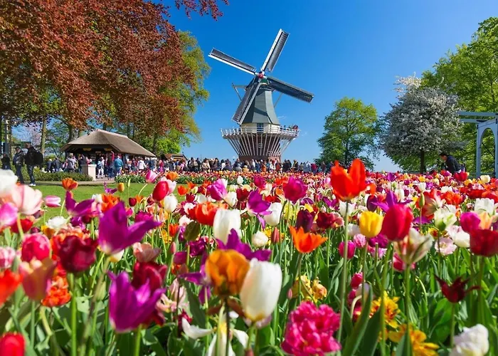 Magnificent In Holland 4a & 2c بيت للعطل
