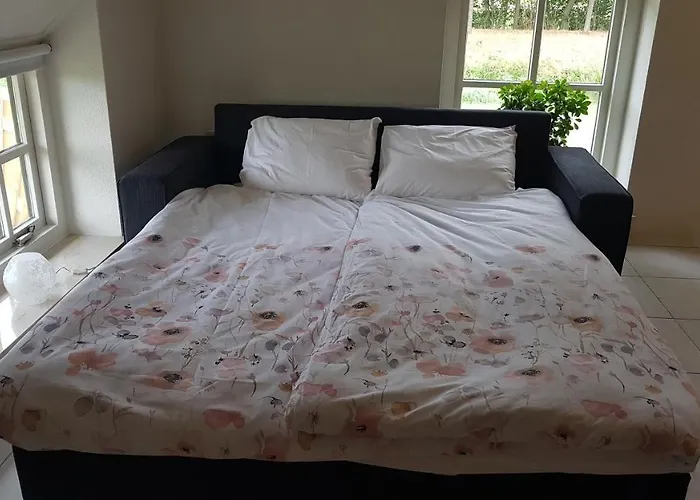 Magnificent In Holland 4a & 2c *