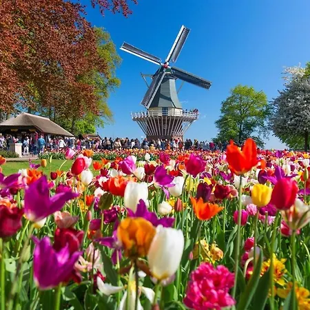 Magnificent In Holland 4a & 2c Ferienhaus