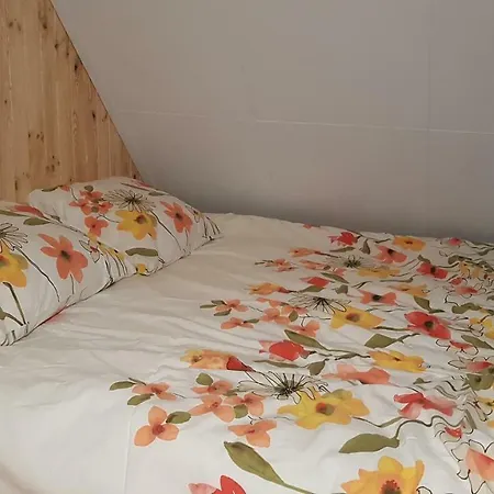 Magnificent In Holland 4a & 2c