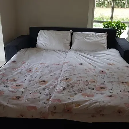 Magnificent In Holland 4a & 2c *