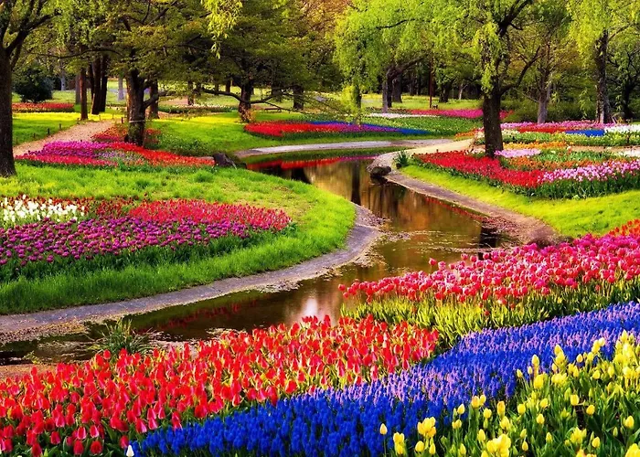 Magnificent In Holland 4a & 2c Holiday home *