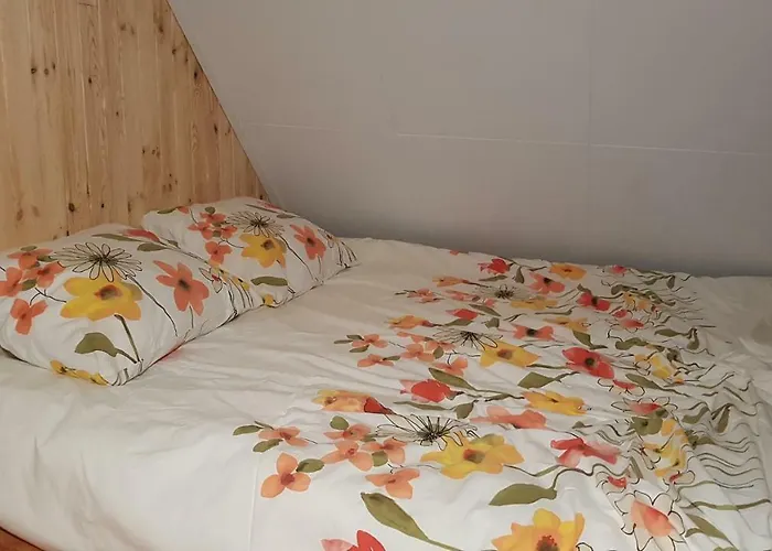 Magnificent In Holland 4a & 2c