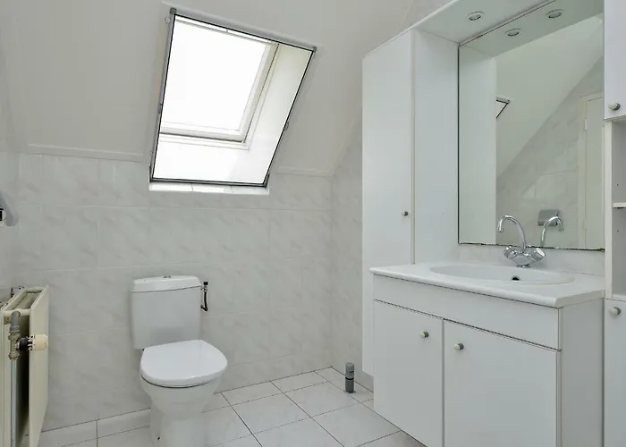 Magnificent In Holland 4a & 2c * Schoonrewoerd